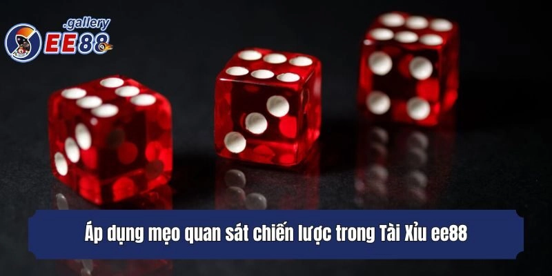 Áp dụng mẹo quan sát chiến lược trong Tài Xỉu ee88