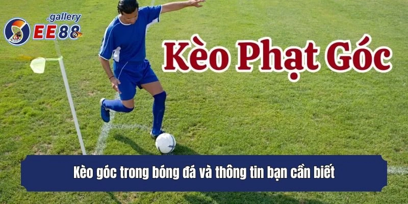 Kèo góc trong bóng đá và thông tin bạn cần biết