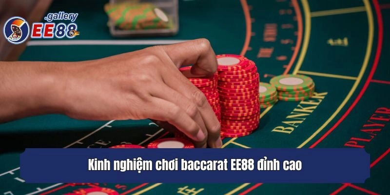 Kinh nghiệm chơi baccarat EE88 đỉnh cao